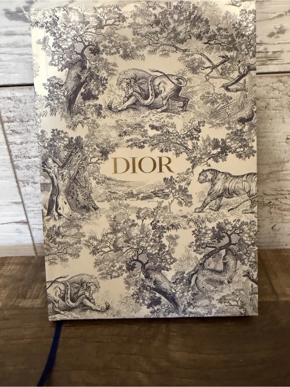 CHRISTIAN Dior Premium riviera notebook gray color